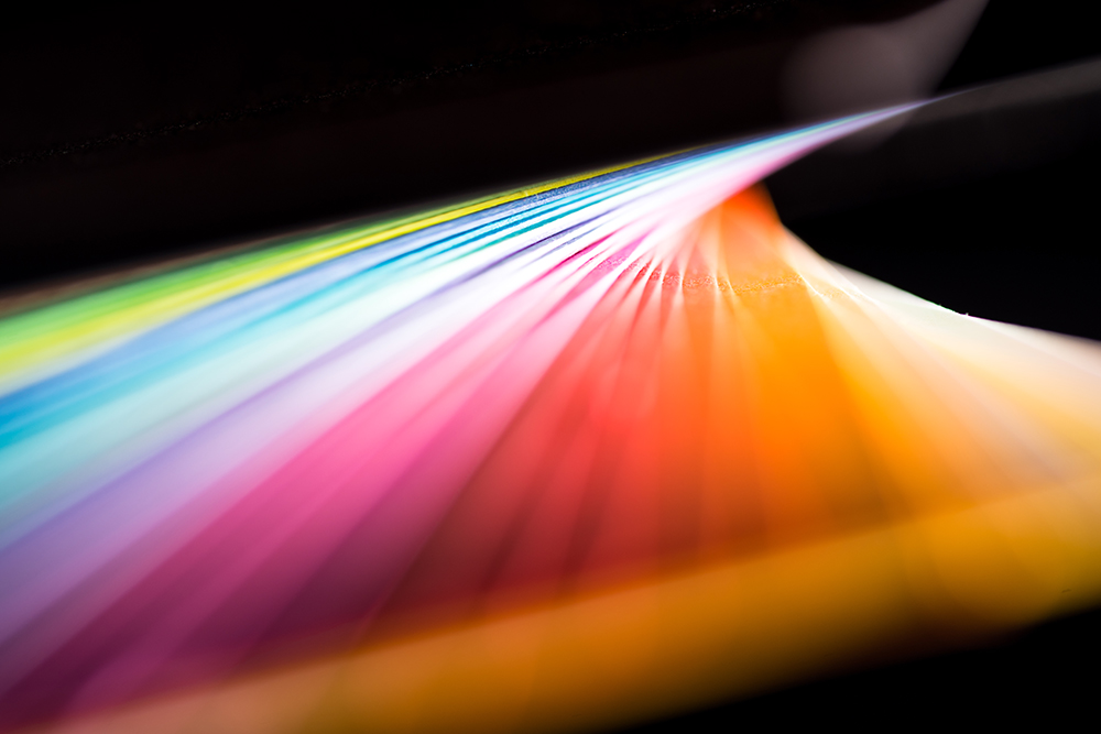 갤러리 이미지 샘플